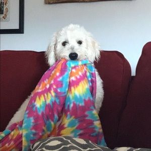 Meet your Posher, Brandy